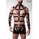 Harness set by Grey Velvet MEN