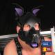 Genuine Leather Mask PUPPY Purple