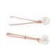 Nipple Clamps Rose Gold Prism