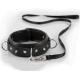 Collar Leash