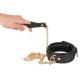 Leather Collar and Leash gold