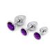 Buttplug Aluminium Purple Small