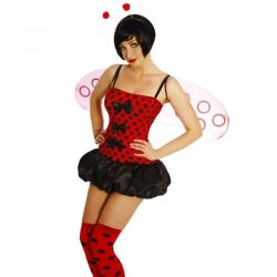 Ladybeetle Costume