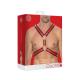 Scottish Leather Harness - S M