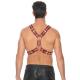 Scottish Leather Harness - S M