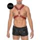 Scottish Leather Harness - S M