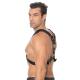 Scottish Leather Harness - S M