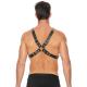 Chain and Chain Harness