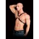 Adonis - High Halter Harness