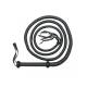 Rimba - Arabian bullwhip