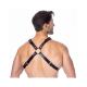 Rimba - Chest harness decorated with studs